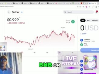 Crypto for beginners: This is why a lot of meme coins are on solana