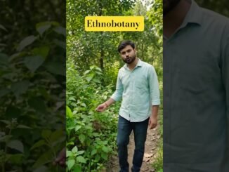 Ethnobotany #news #exam #yt #facts #teacher #ai #rain #plants #human #topic #subject #education #bio