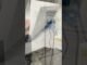 🚀 Fast Setup Avalon Q 90Th/s Beginner Mining Guide