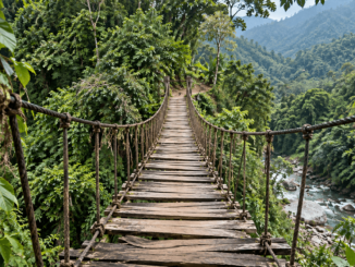 Deep in Mexico’s Jungle, Police Found 300 Crypto Miners Humming