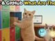 [EN] What Are Git and GitHub? Explained Simply for Total Beginners | AI, What Now?